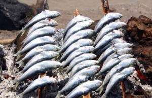 Cornish Sardines are great on the BBQ at Meadowview Cottage a luxury holiday cottage Cornwall