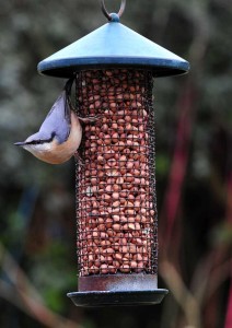 Nuthatch luxury holiday accommodation in Cornwall
